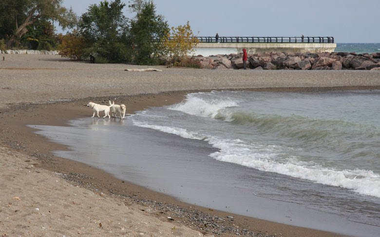Kew-Balmy Beach, Canada